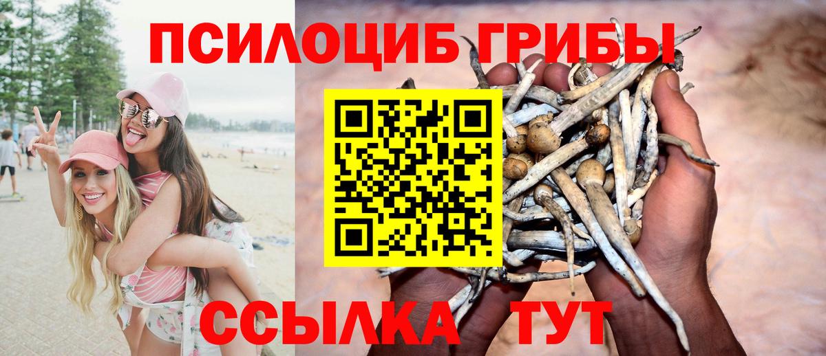 Псилоцибиновые грибы ЛСД Тихвин