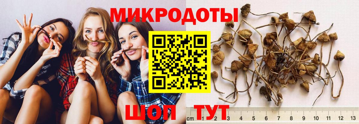 Галлюциногенные грибы Cubensis  Вход с VPN  Тихвин 
